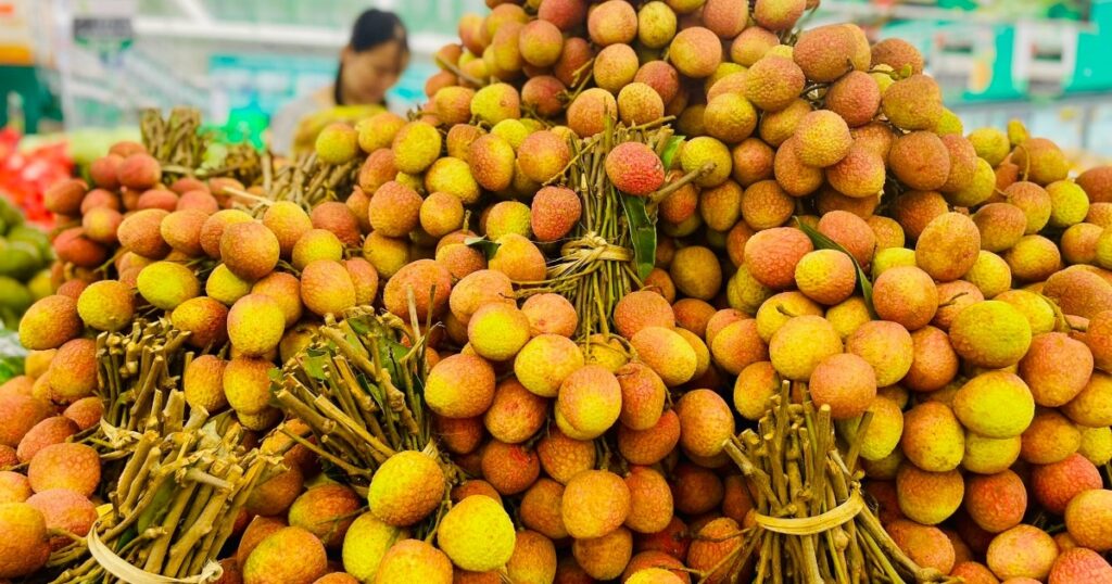 Vải thiều sắp “phủ đỏ” hệ thống bán lẻ hiện đại