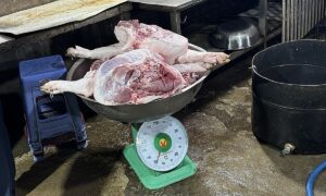 TP HCM chặn 8 tấn thịt heo, gia cầm không kiểm dịch