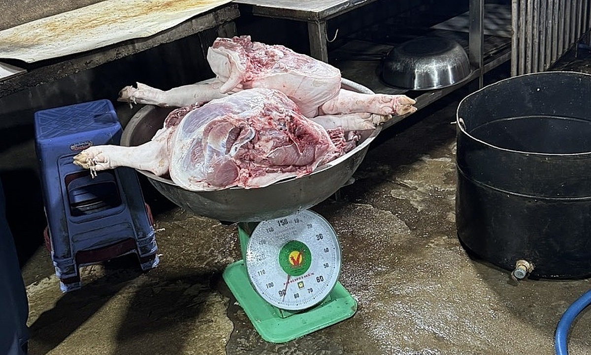 TP HCM chặn 8 tấn thịt heo, gia cầm không kiểm dịch