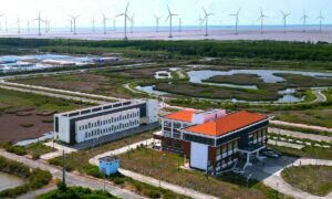 Khu nuôi tôm công nghệ cao 'đứng yên' sau 9 năm triển khai
