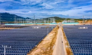 Công ty điện mặt trời của Trung Nam lỗ gần 1.000 tỷ đồng