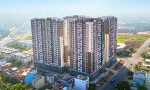 Novaland lãi gần 10 tỷ đồng mỗi ngày