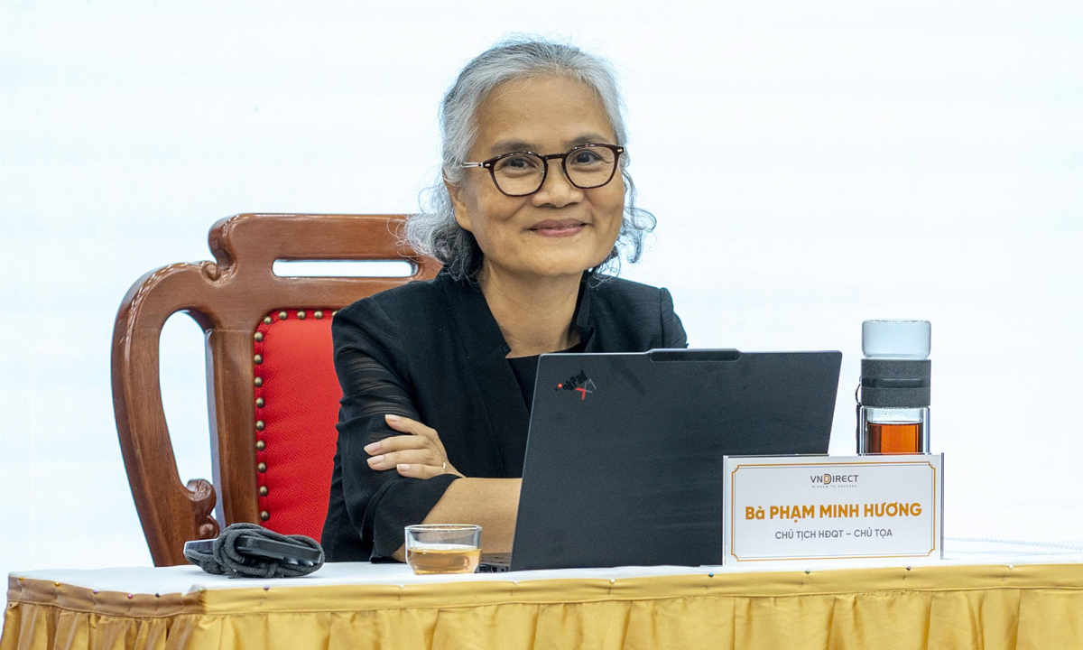 Bà Phạm Minh Hương: VNDirect đã bỏ lỡ cơ hội tăng trưởng trong 'cơn sóng' của thị trường