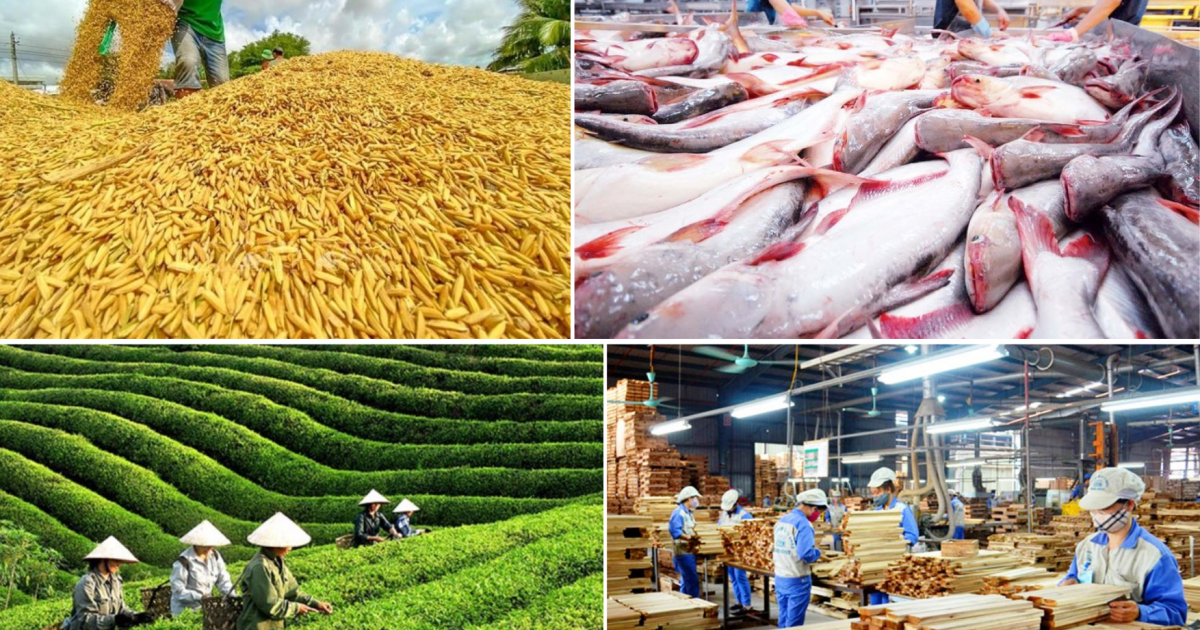 Sản xuất nông nghiệp duy trì đà tăng trưởng tích cực
