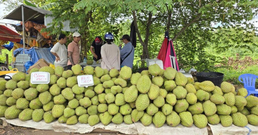 Liên thông dữ liệu vùng trồng để đáp ứng EUDR