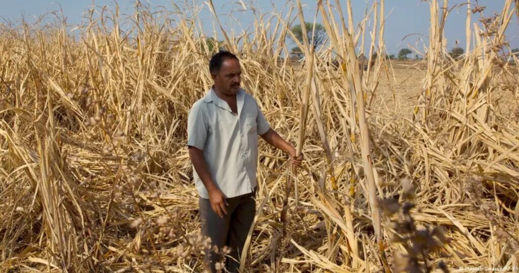 Ấn Độ chuẩn bị kịch bản ứng phó El Niño mạnh đe dọa mùa gió mùa khô hạn