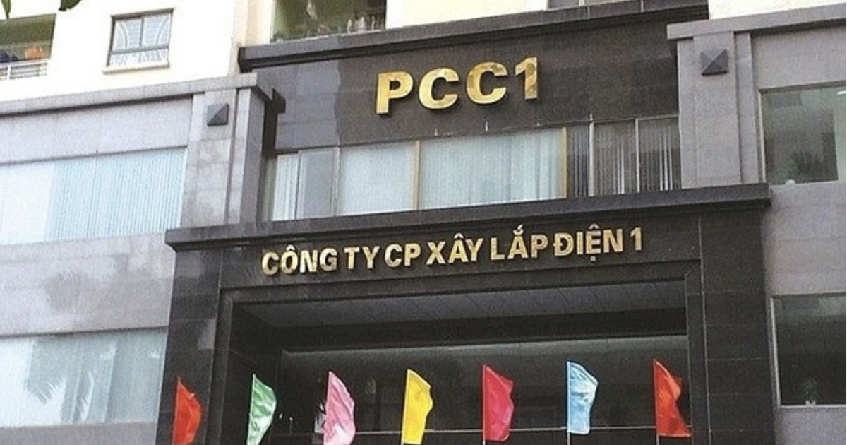 Cập nhật mới nhất về triển vọng hai cổ phiếu PC1 và DGC