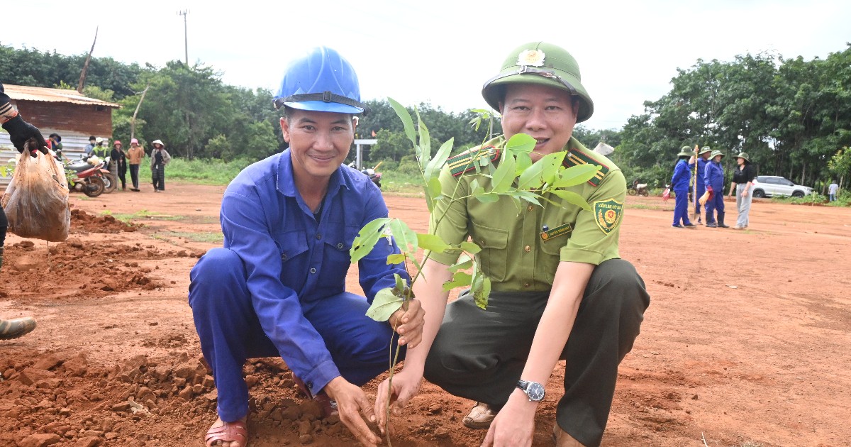Gia Lai phát động trồng 3.810 cây lâm nghiệp phân tán