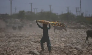 Liên Hợp Quốc kêu gọi thế giới chuẩn bị ứng phó với nắng nóng cực hạn do El Nino