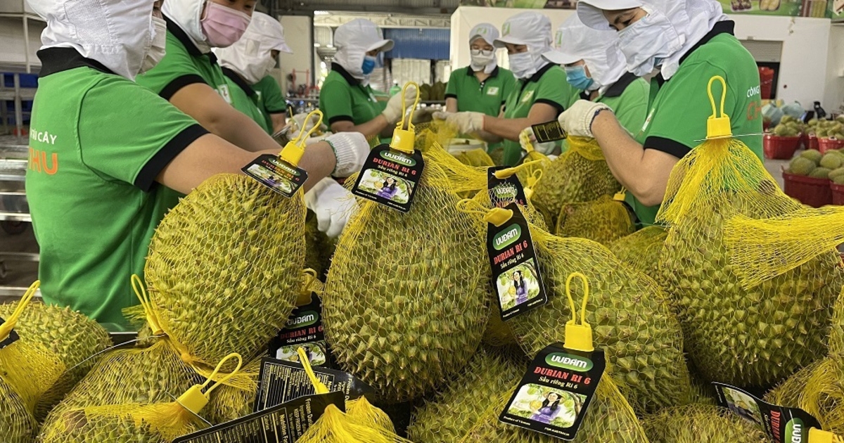 Xuất khẩu rau quả Việt Nam và bài toán tái cấu trúc, đa dạng hóa thị trường