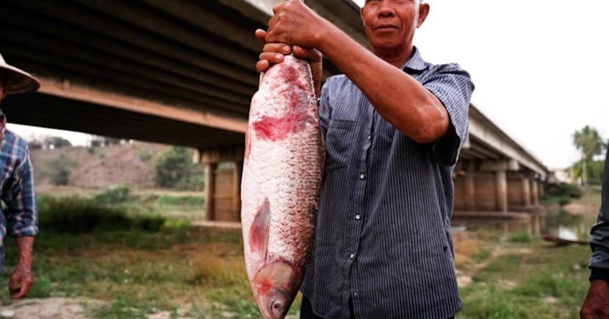 Đất hiếm, nội chiến Myanmar và cái giá phải trả của người dân hạ lưu sông Mekong