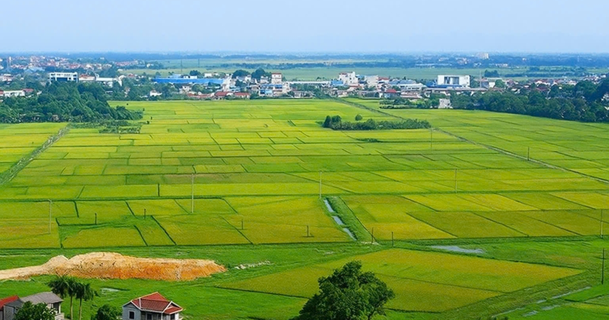 Hơn 64,42 triệu thửa đất đã được xây dựng dữ liệu, đạt 63% kế hoạch