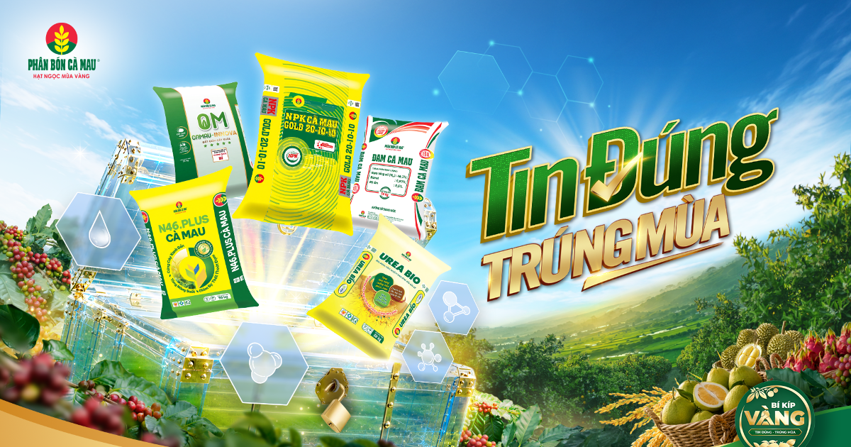 Phân bón Cà Mau khởi động bí kíp vàng: Tin đúng - Trúng mùa