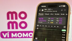 Cổ phiếu Chứng khoán Thiên Việt tăng trần trước thương vụ Momo