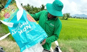 Giá phân bón tăng cao, nông dân thêm áp lực chi phí