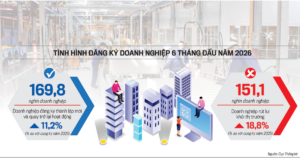 Tình hình doanh nghiệp 6 tháng đầu năm: Sức chống chịu của doanh nghiệp và tư duy chuyển đổi toàn cầu