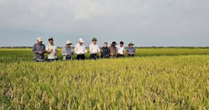 Nông nghiệp 6 tháng đầu năm 2026: Tăng trưởng vững chắc, nâng cao giá trị và hiệu quả