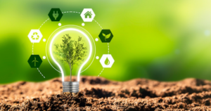 Thuế carbon 15 USD/tấn CO₂ có thể giảm 2,9% lượng phát thải nhưng cũng ảnh hưởng GDP