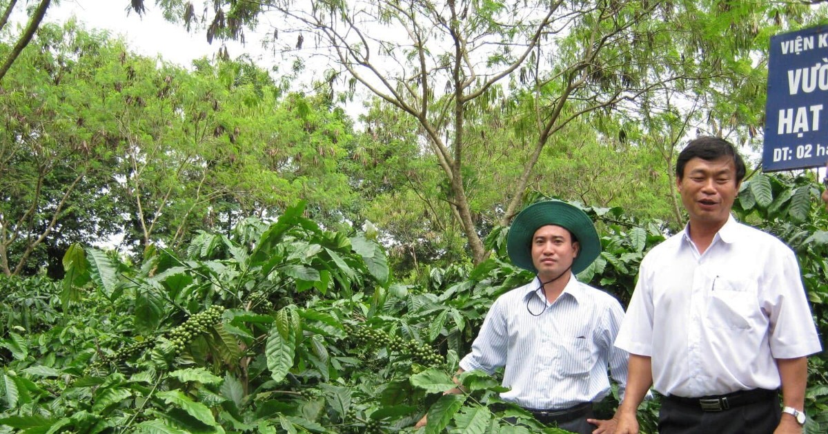 Xây dựng dữ liệu bản đồ đất rừng giúp nông sản đáp ứng EUDR