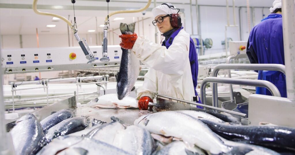 Hoàn tất đàm phán FTA Việt Nam - EFTA, hải sản Na Uy hưởng lợi từ ưu đãi thuế