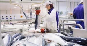 Hoàn tất đàm phán FTA Việt Nam - EFTA, hải sản Na Uy hưởng lợi từ ưu đãi thuế