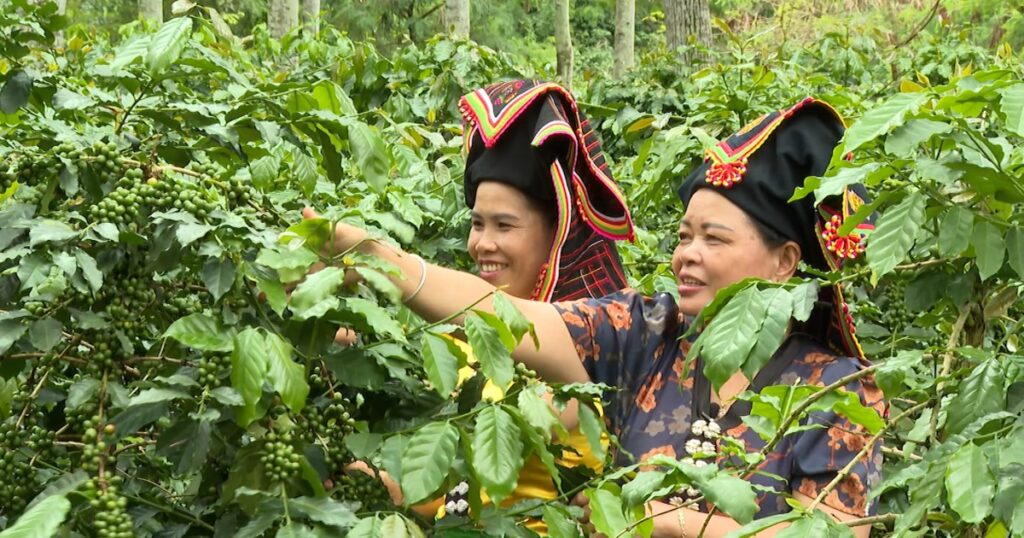 Điện Biên chuyển hướng chế biến sâu và sản xuất xanh để thu hút đầu tư