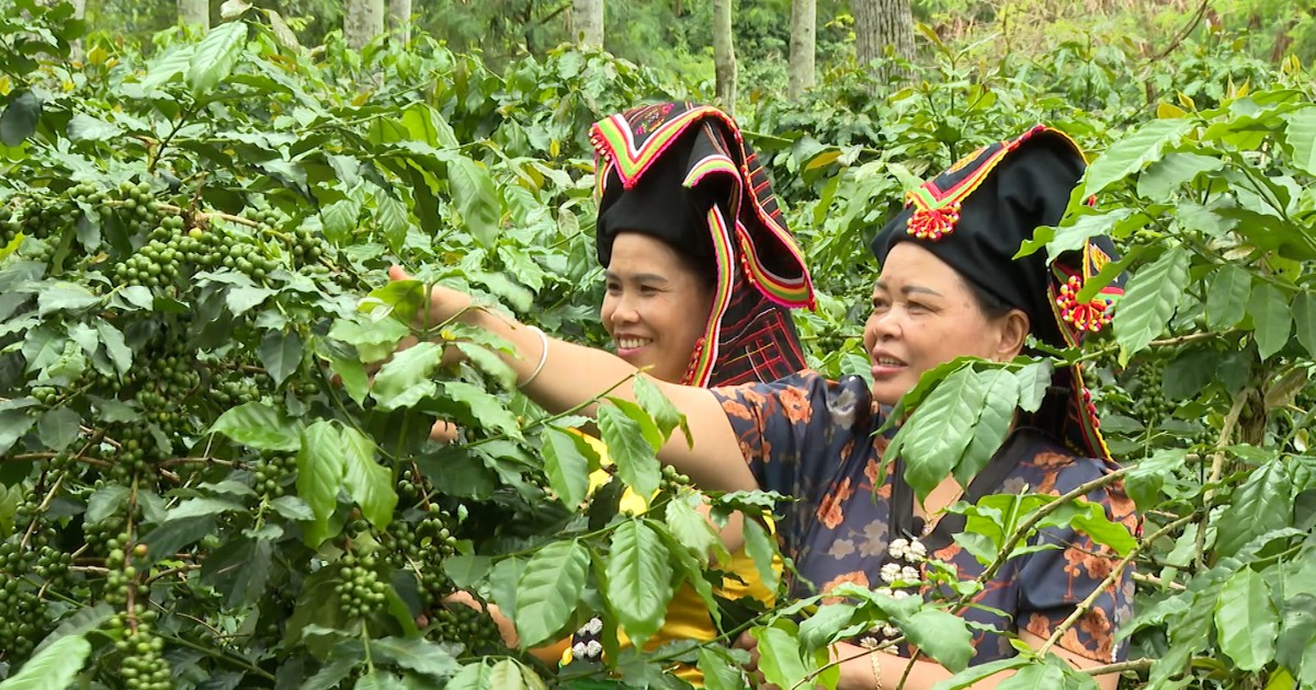 Điện Biên chuyển hướng chế biến sâu và sản xuất xanh để thu hút đầu tư