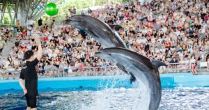 Du lịch Quảng Ninh tái cơ cấu thị trường, hướng đến phân khúc chi tiêu cao