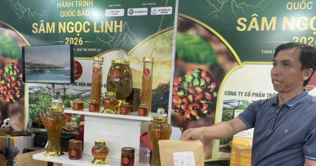 Đà Nẵng hỗ trợ người dân đầu tư trồng sâm Ngọc Linh và quế Trà My