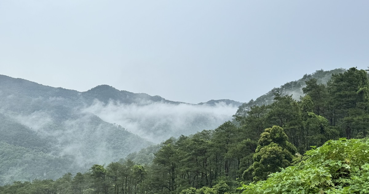 Điều kiện để doanh nghiệp tham gia thị trường carbon toàn cầu