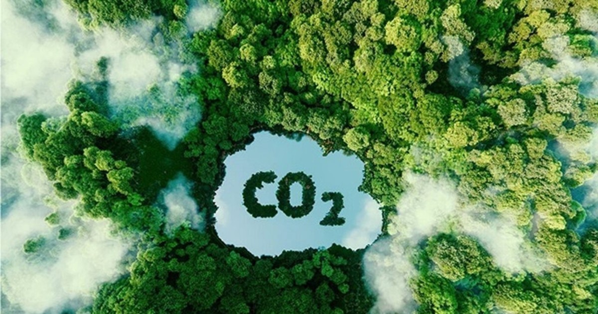 Xác định mức chi trả dịch vụ hấp thụ và lưu giữ carbon rừng