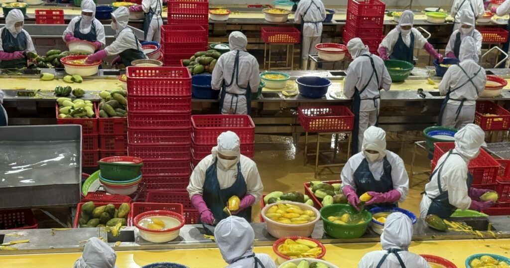 Xuất khẩu nông lâm thủy sản 6 tháng đầu năm đạt gần 36 tỷ USD
