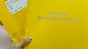 Vợ chồng có thu nhập 70 triệu cần mua bảo hiểm nhân thọ không?