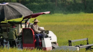 Quỹ đầu tư về khí hậu 50 triệu USD hướng đến Việt Nam