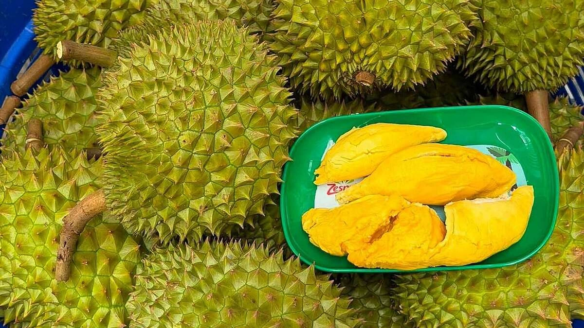 Giá sầu riêng tiếp tục giảm sâu